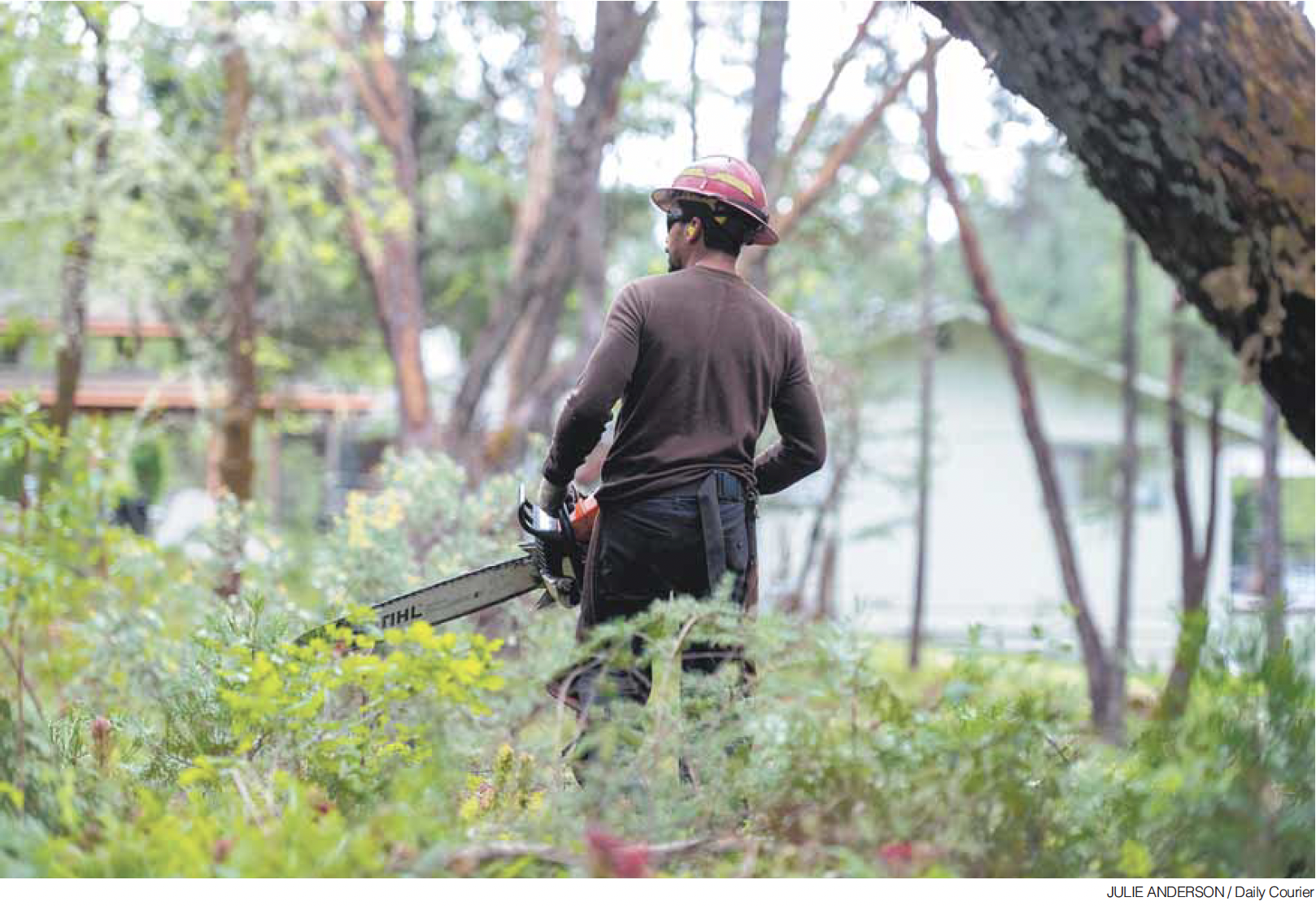 Grants Pass Daily Courier: Pro firefighters in demand