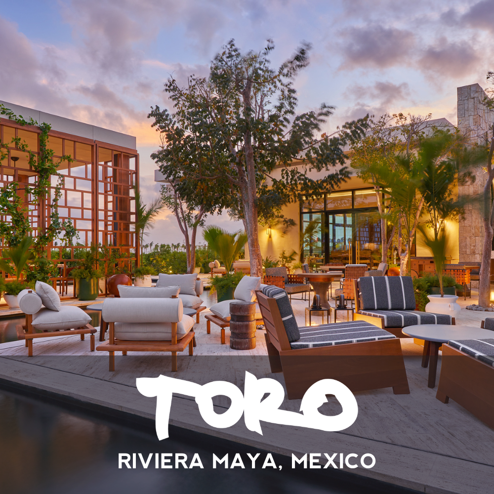 Toro Riviera Maya.png