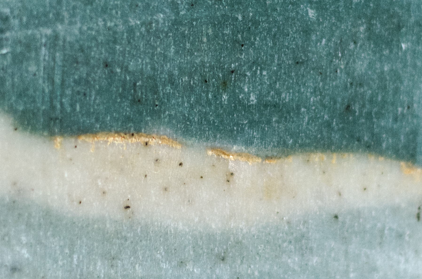 Artisinal Soap-23.jpg