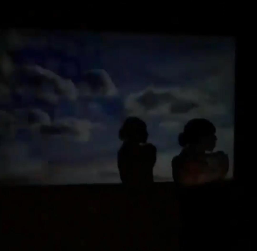 50 INCH PROJECTOR ( VIDEO)