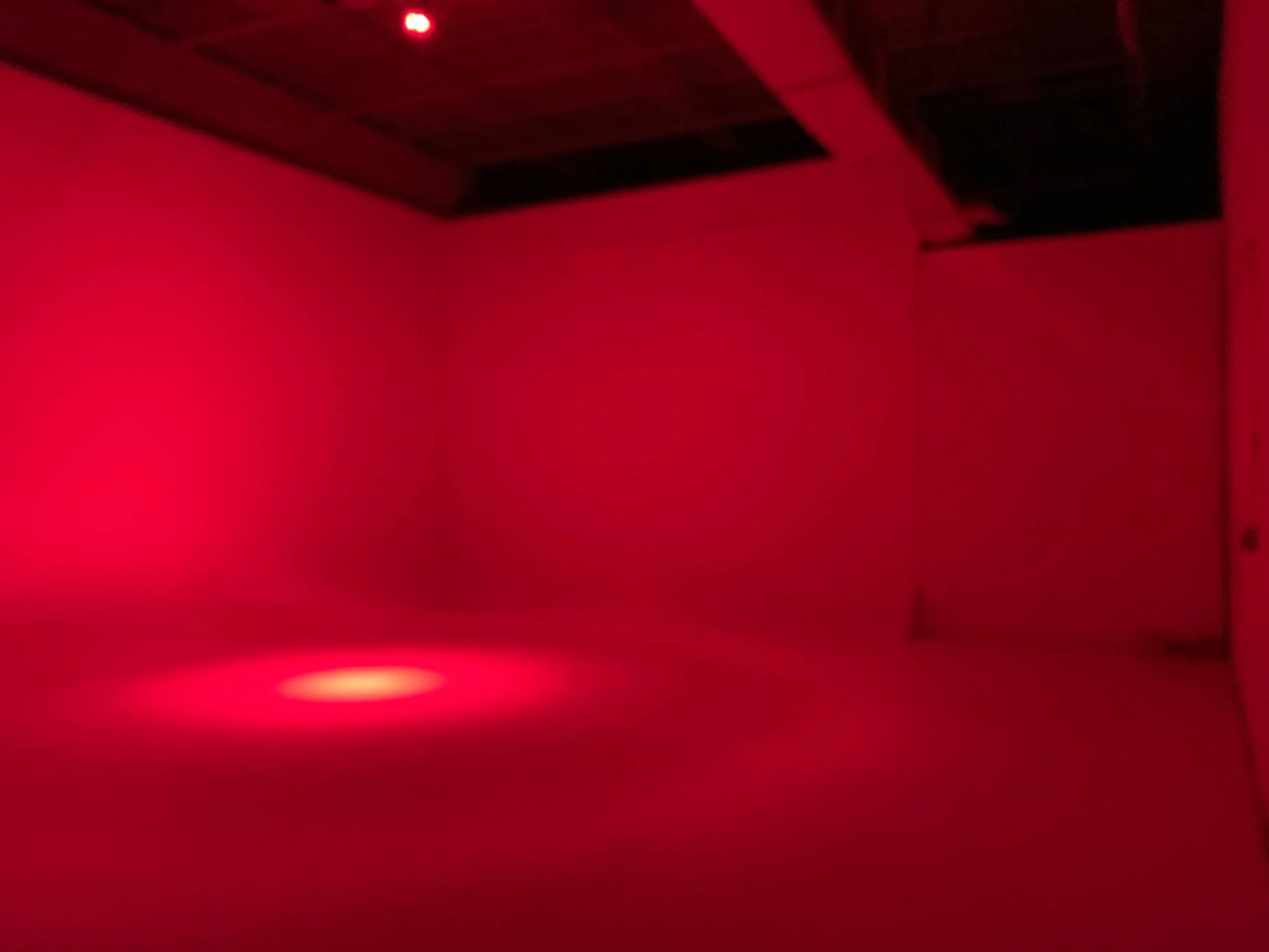 SPOTLIGHT color ( ONLY IN STAGE 3)
