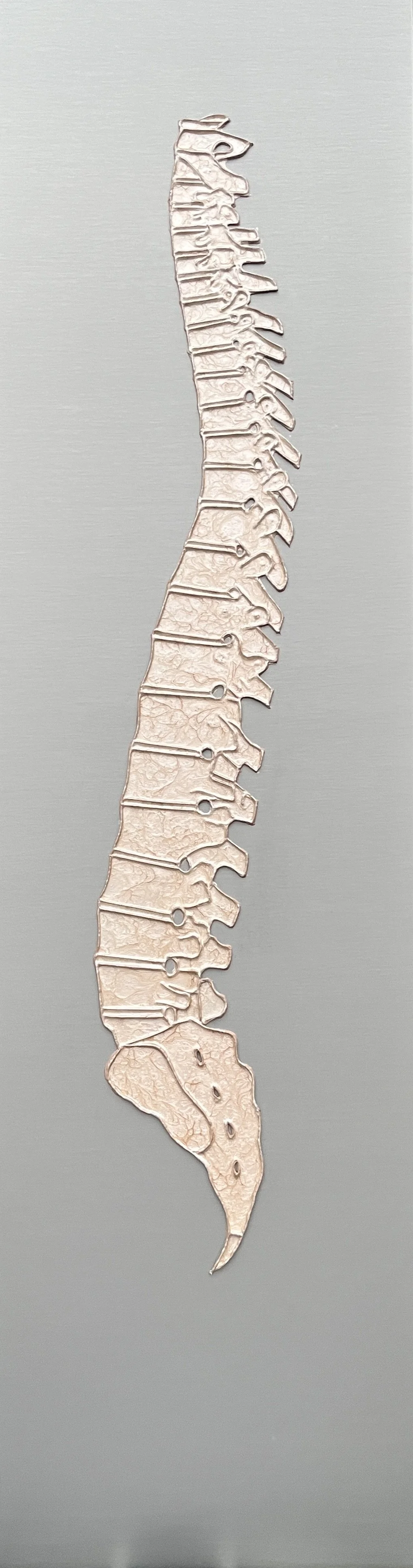 Backbone - Spine - $520