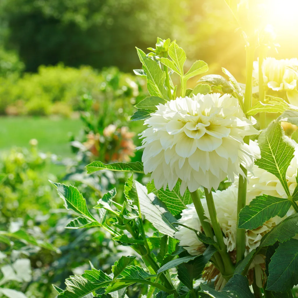 iStock-846314604.jpg