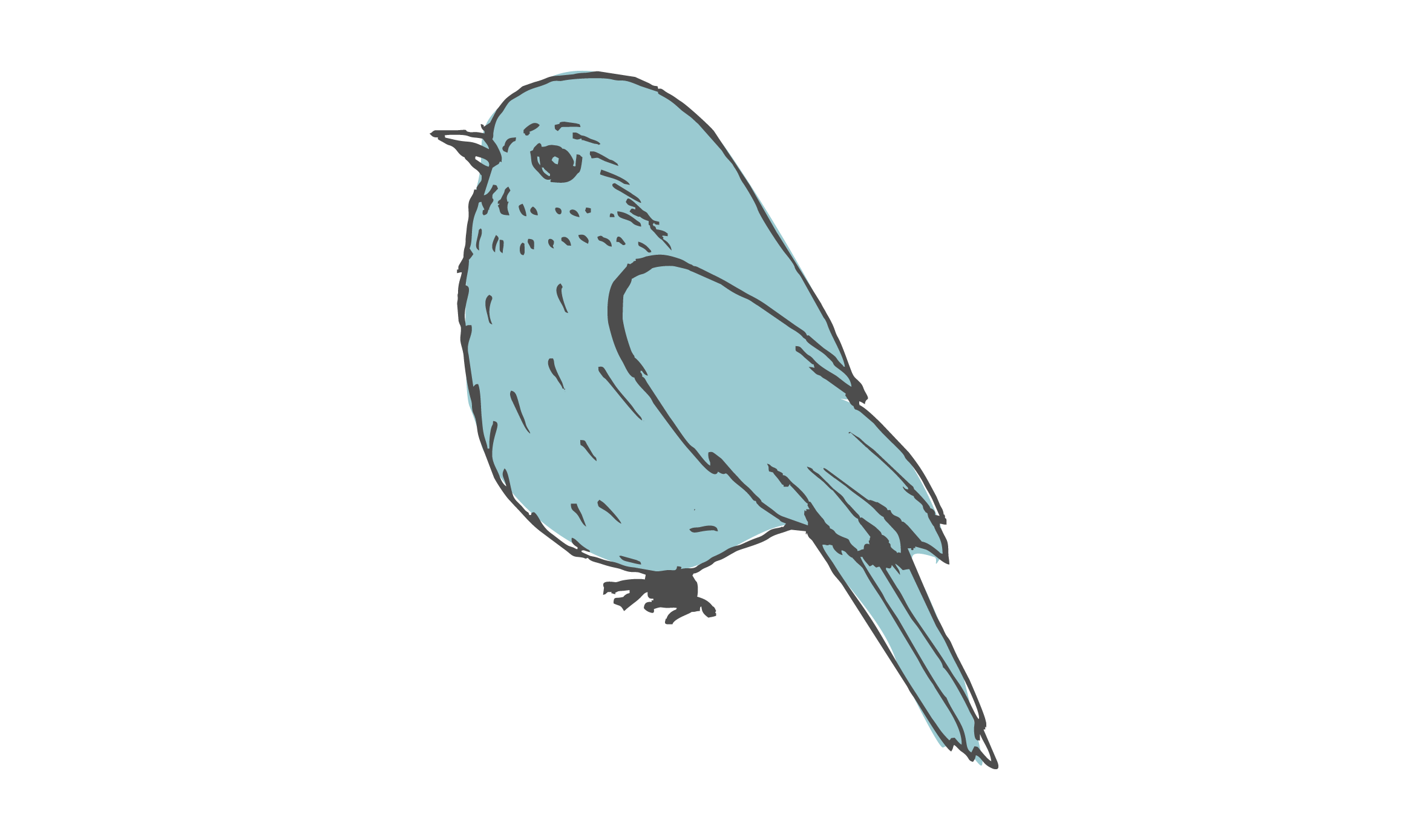 Bird-icon.png