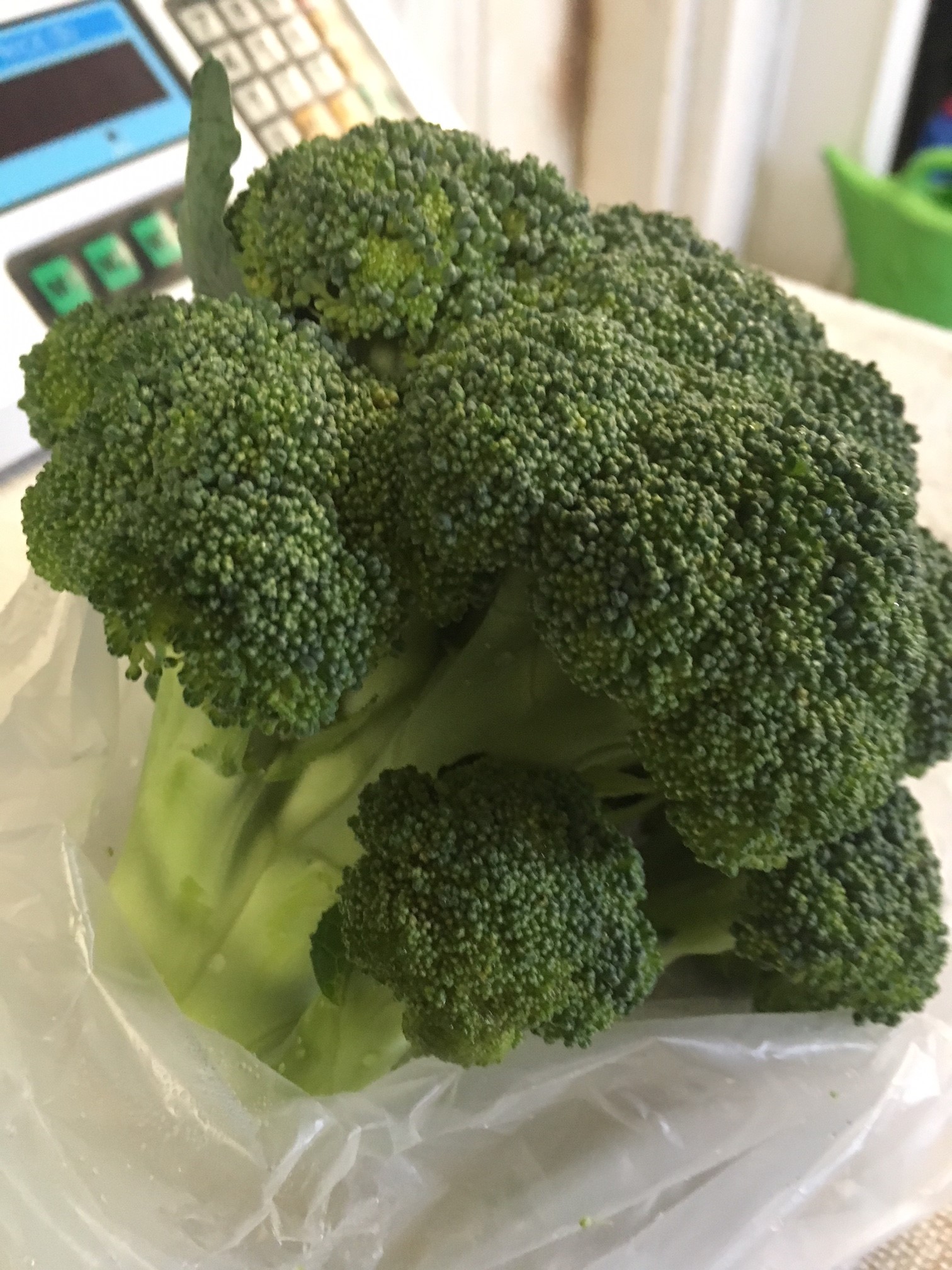 Broccoli.JPG
