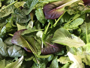 lettuce-salad-mix-sweet-sal.jpg