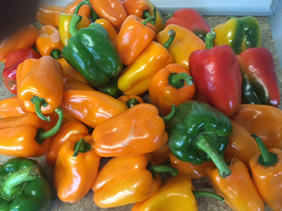 Peppers-colorful-pile.jpg
