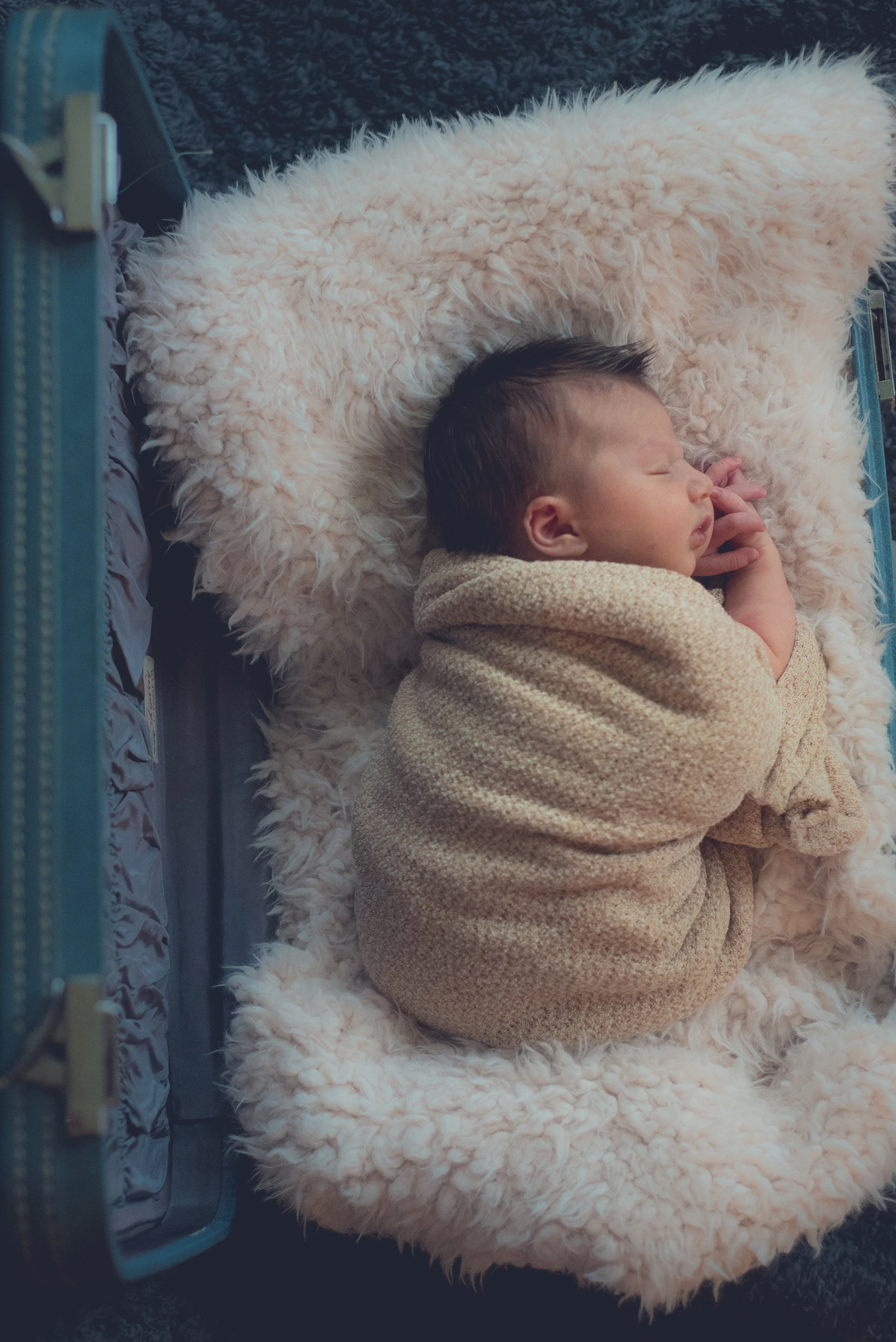 Jaxon Color-36.jpg