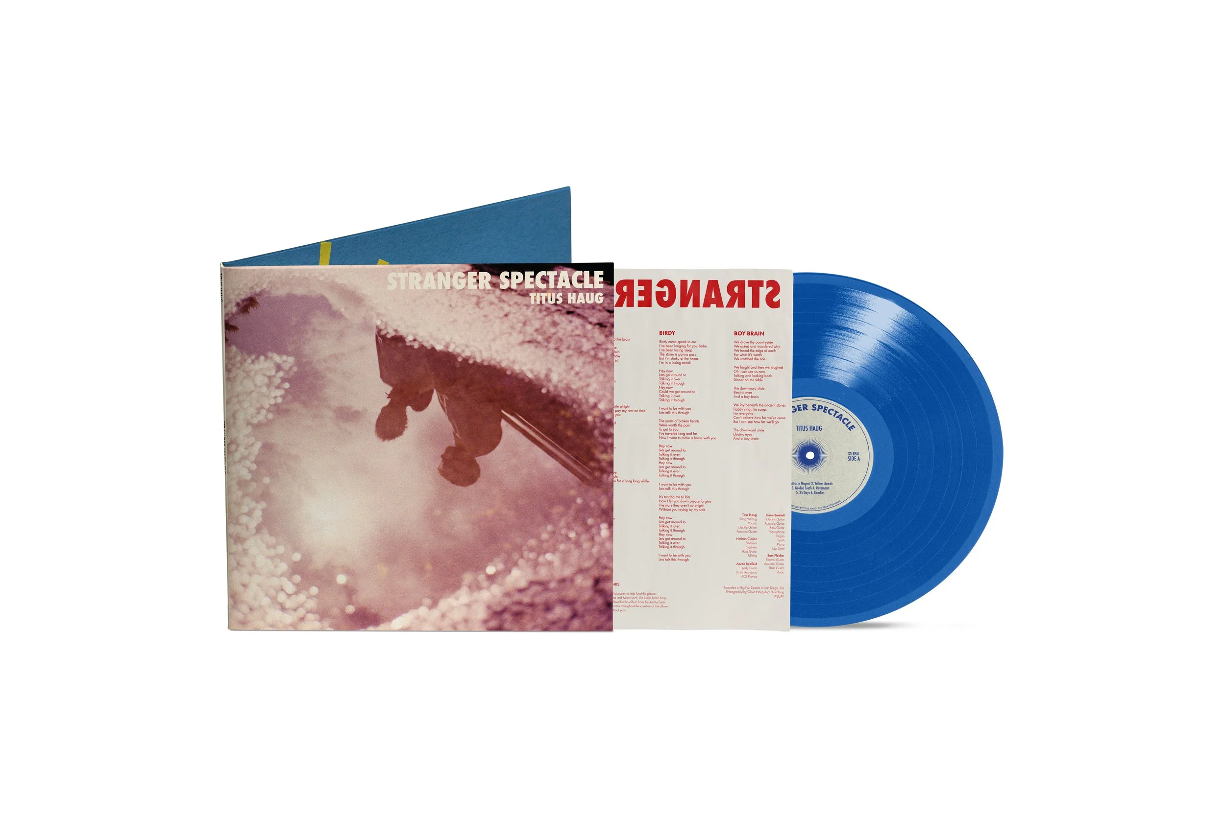 Stranger Spectacle (Blue Jay)