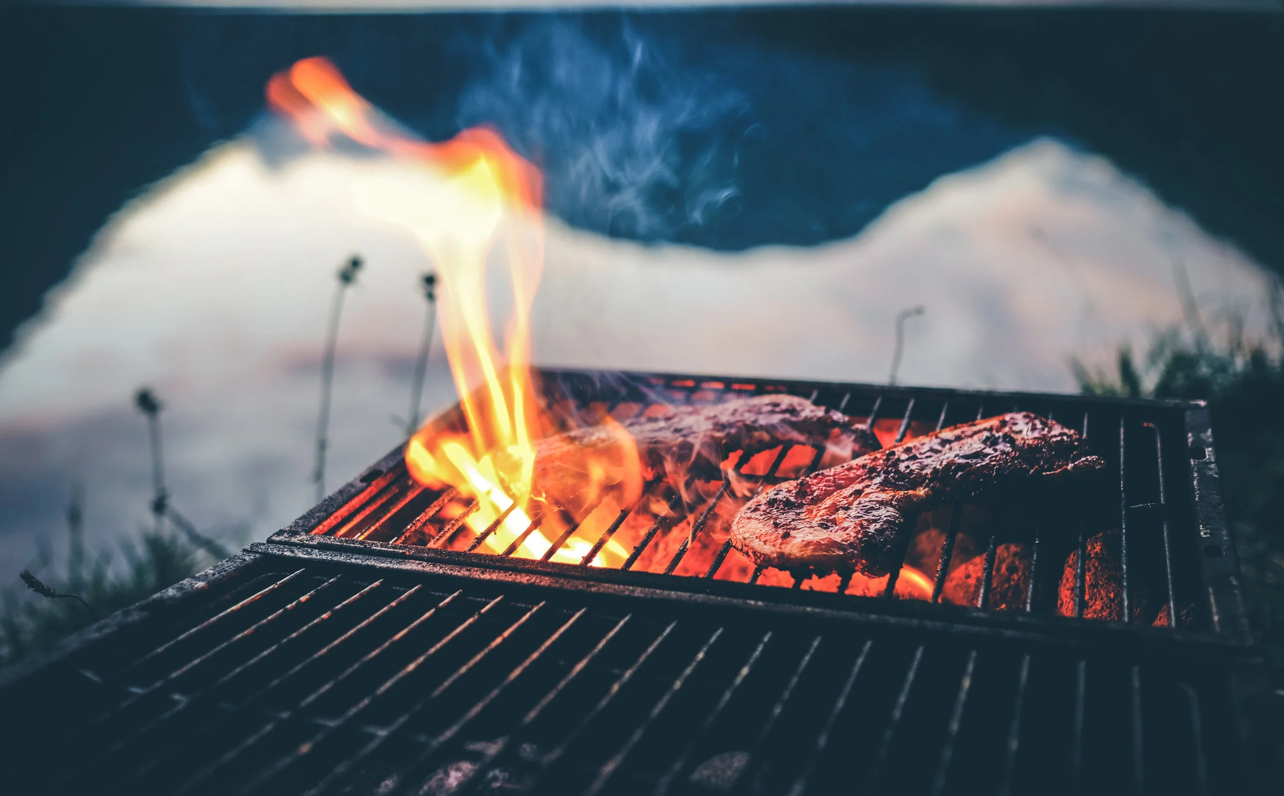 Grill-Picture.2.11.45.jpg