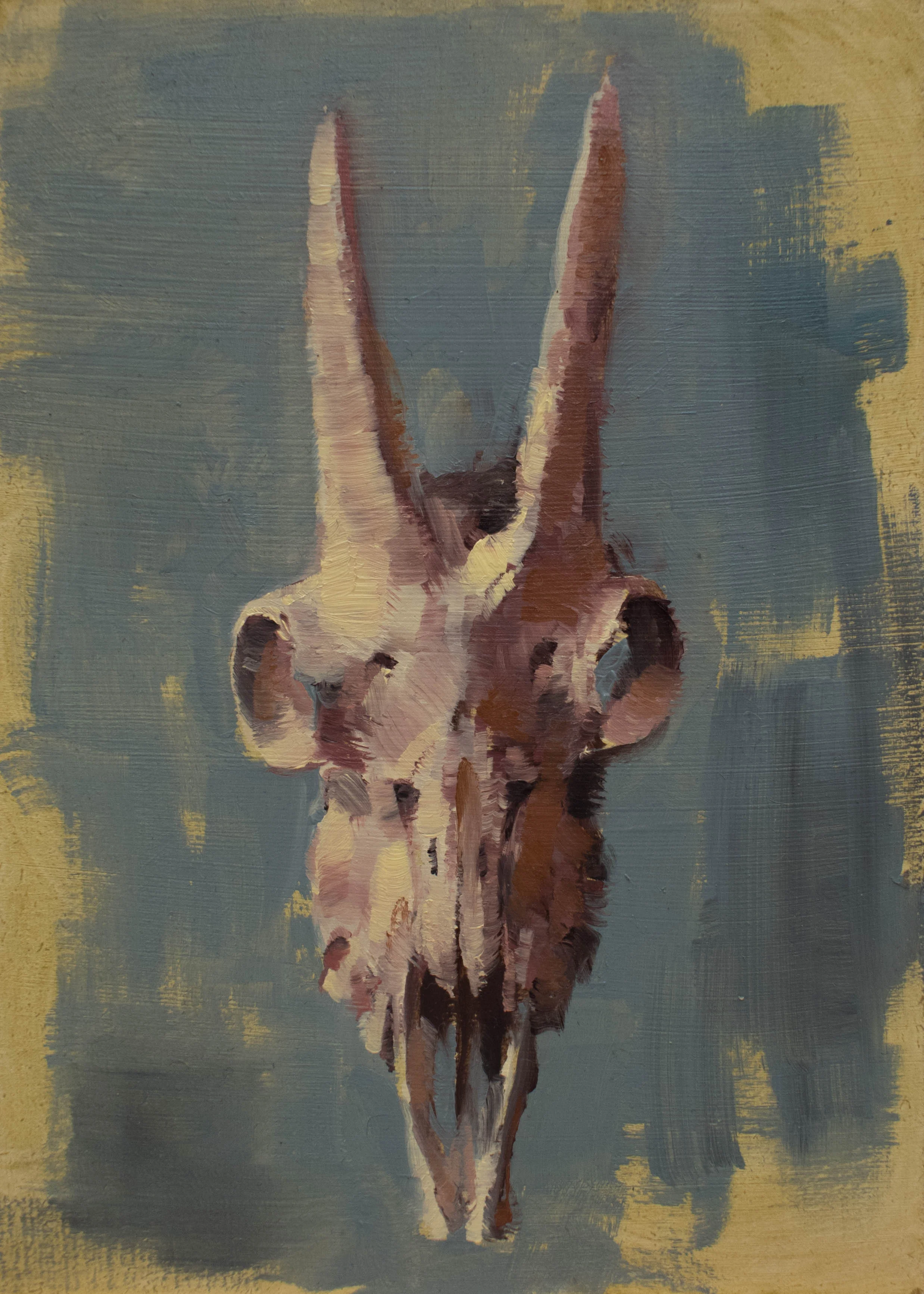 Goat Skull Study I - 5 x 7 inches - Oil on Panel - 12/2018