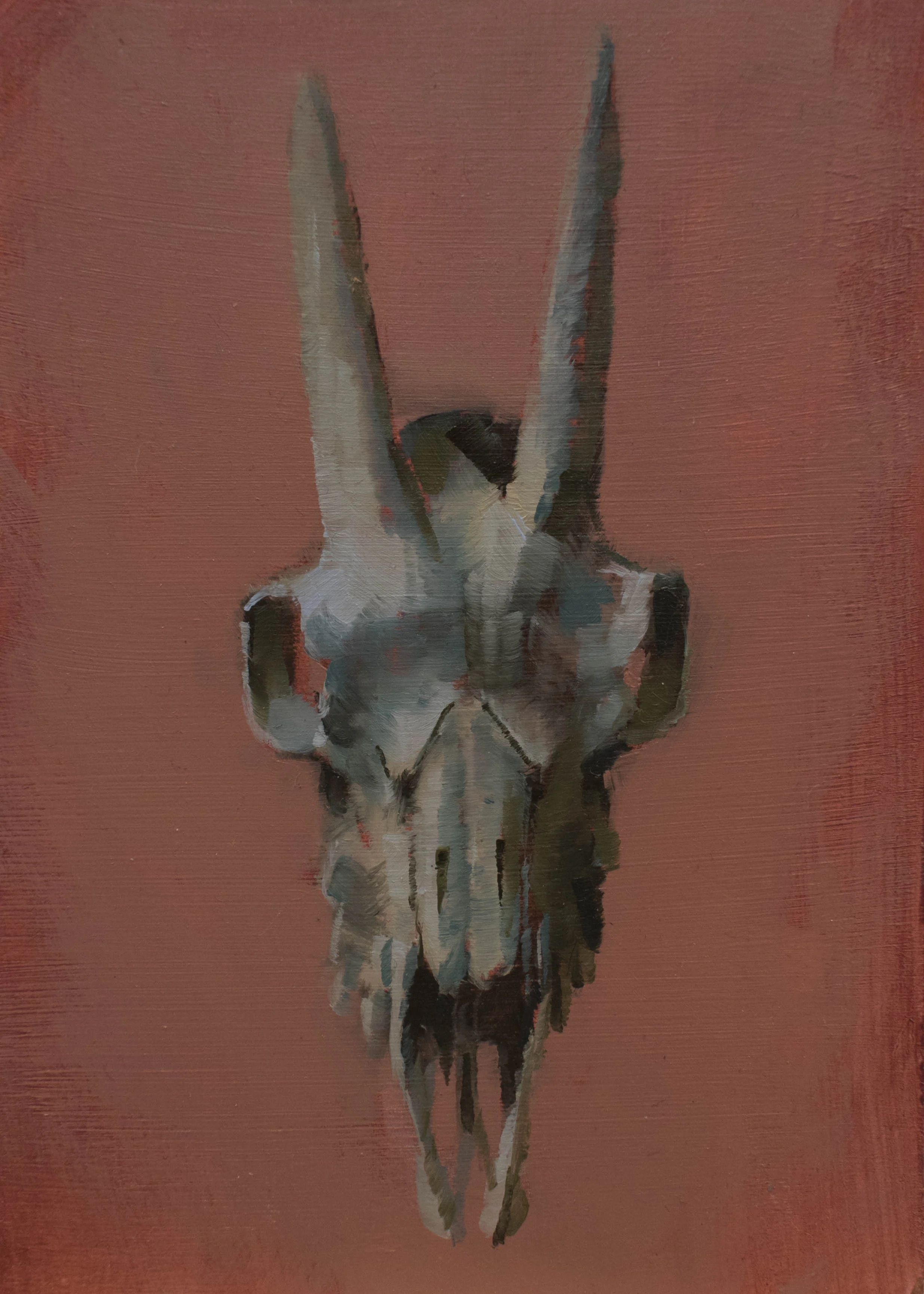 Goat Skull Study III - 5 x 7 inches - Oil on Panel - 12/2018