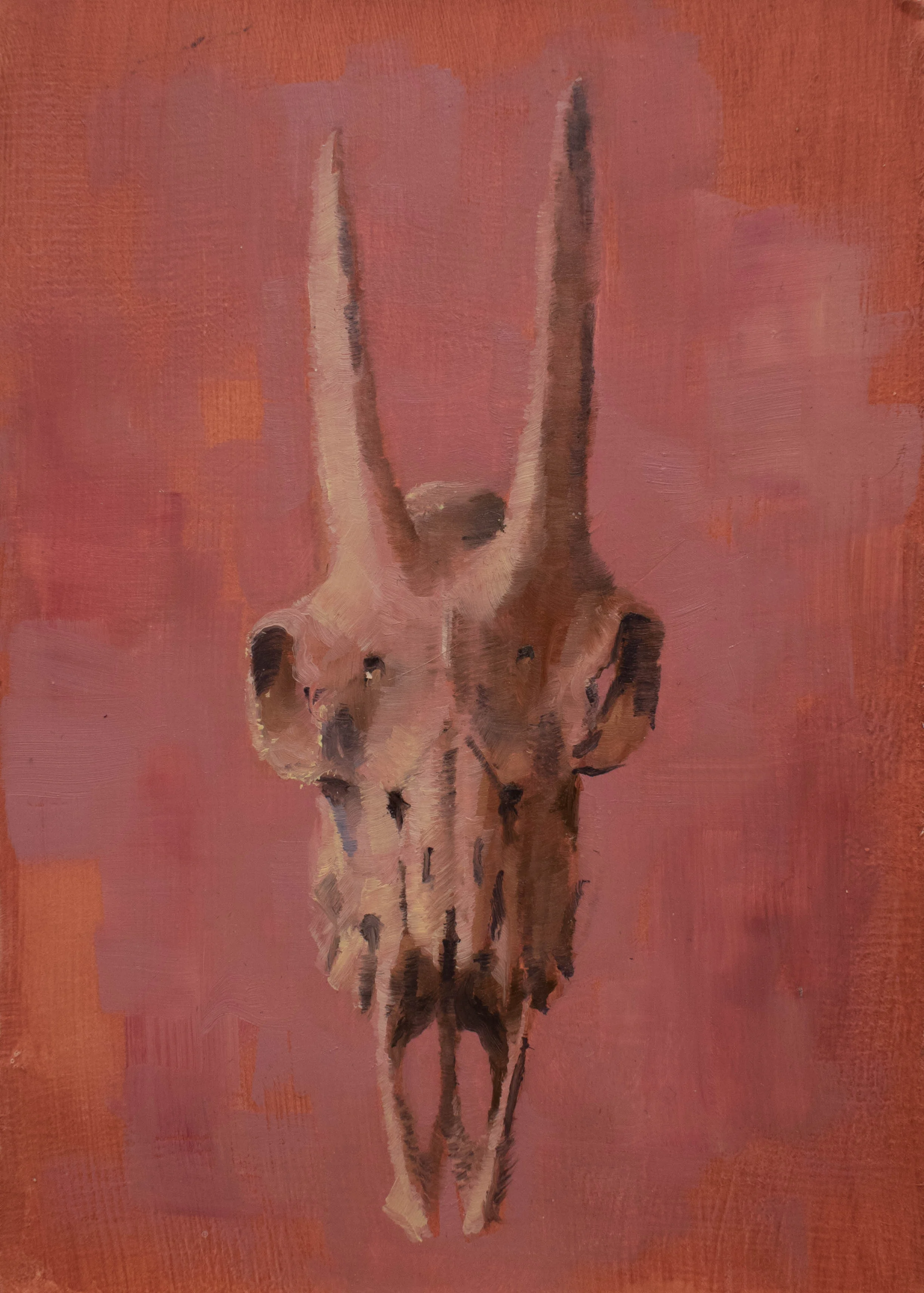 Goat Skull Study V - 5 x 7 inches - Oil on Panel - 12/2018