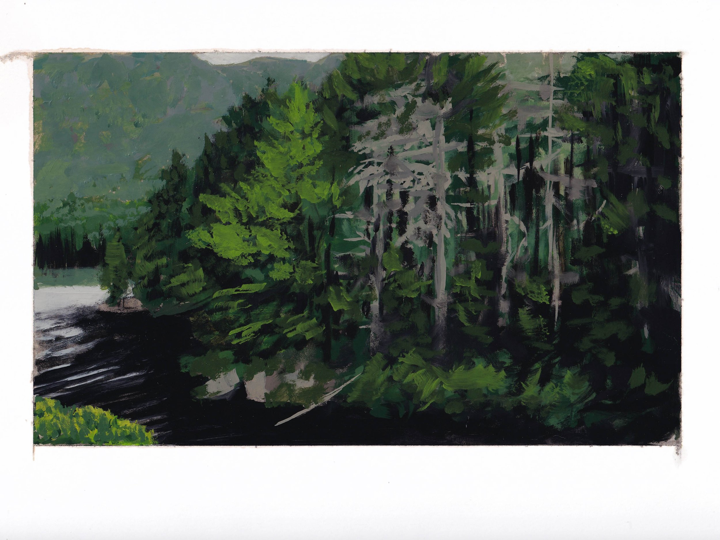  dying pines along the river - 9” x 12” - 2022 - charcoal, amber shellac, and oil paint on paper 