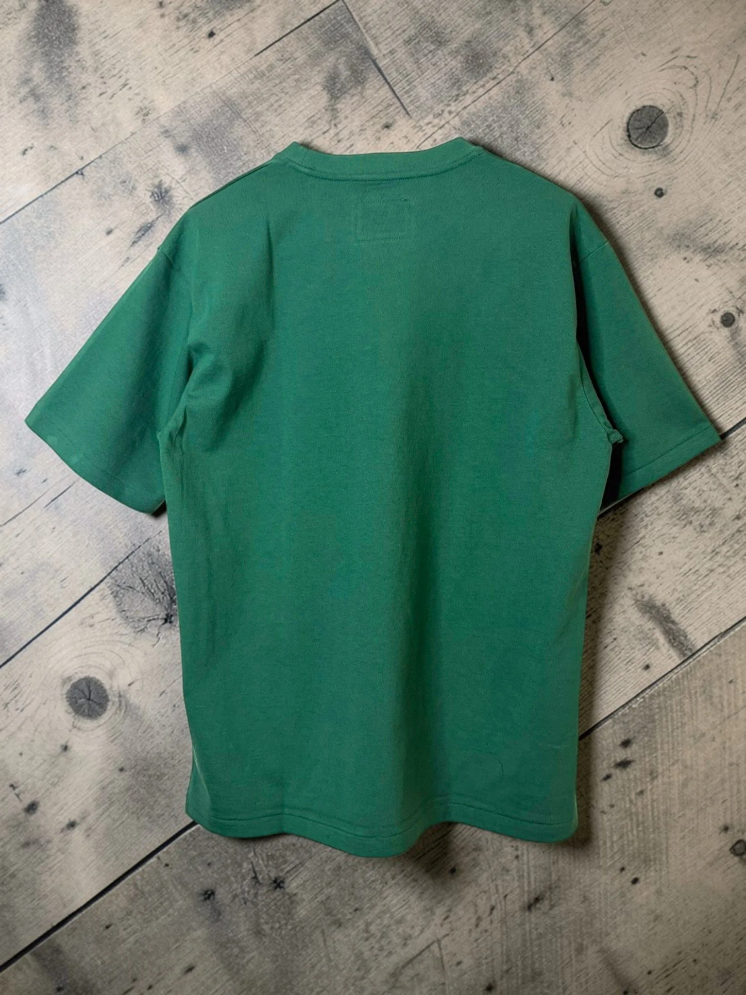 1610110 green (4).jpg