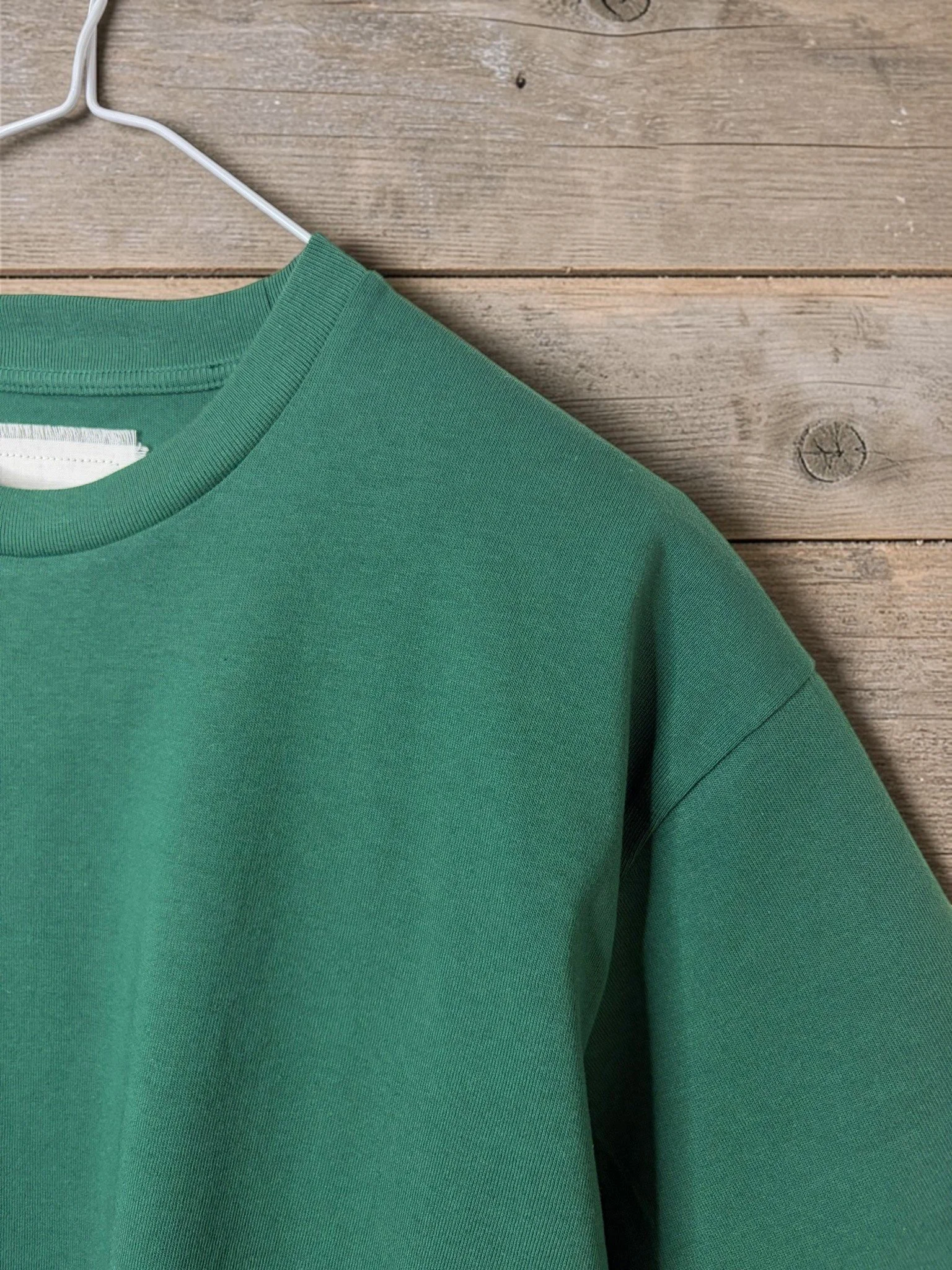 1610110 green (2).jpg