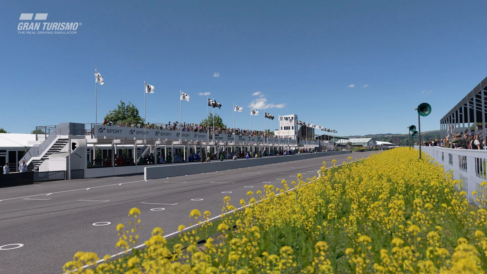 GTS_Goodwood6.jpg