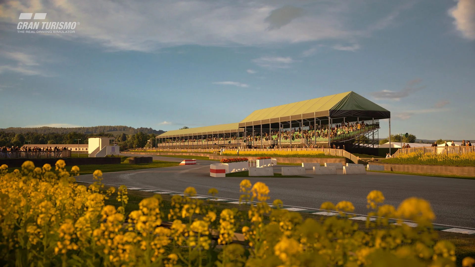 GTS_Goodwood2.jpg