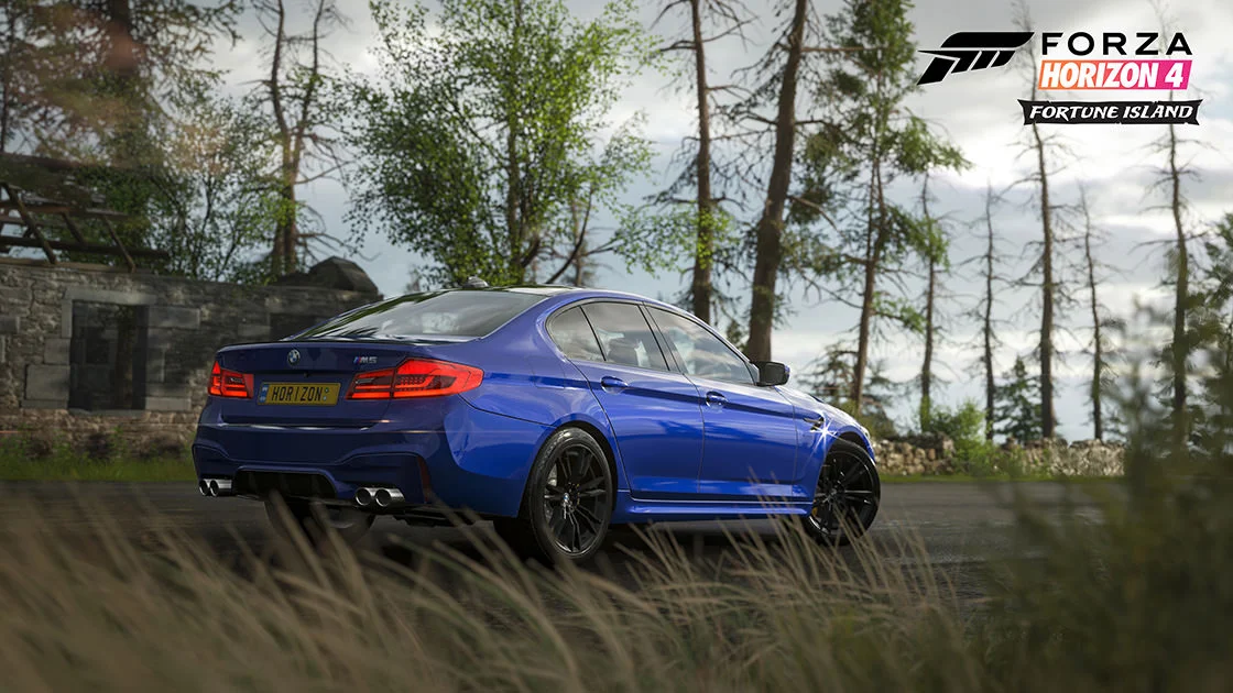 FH4_FI2.jpg