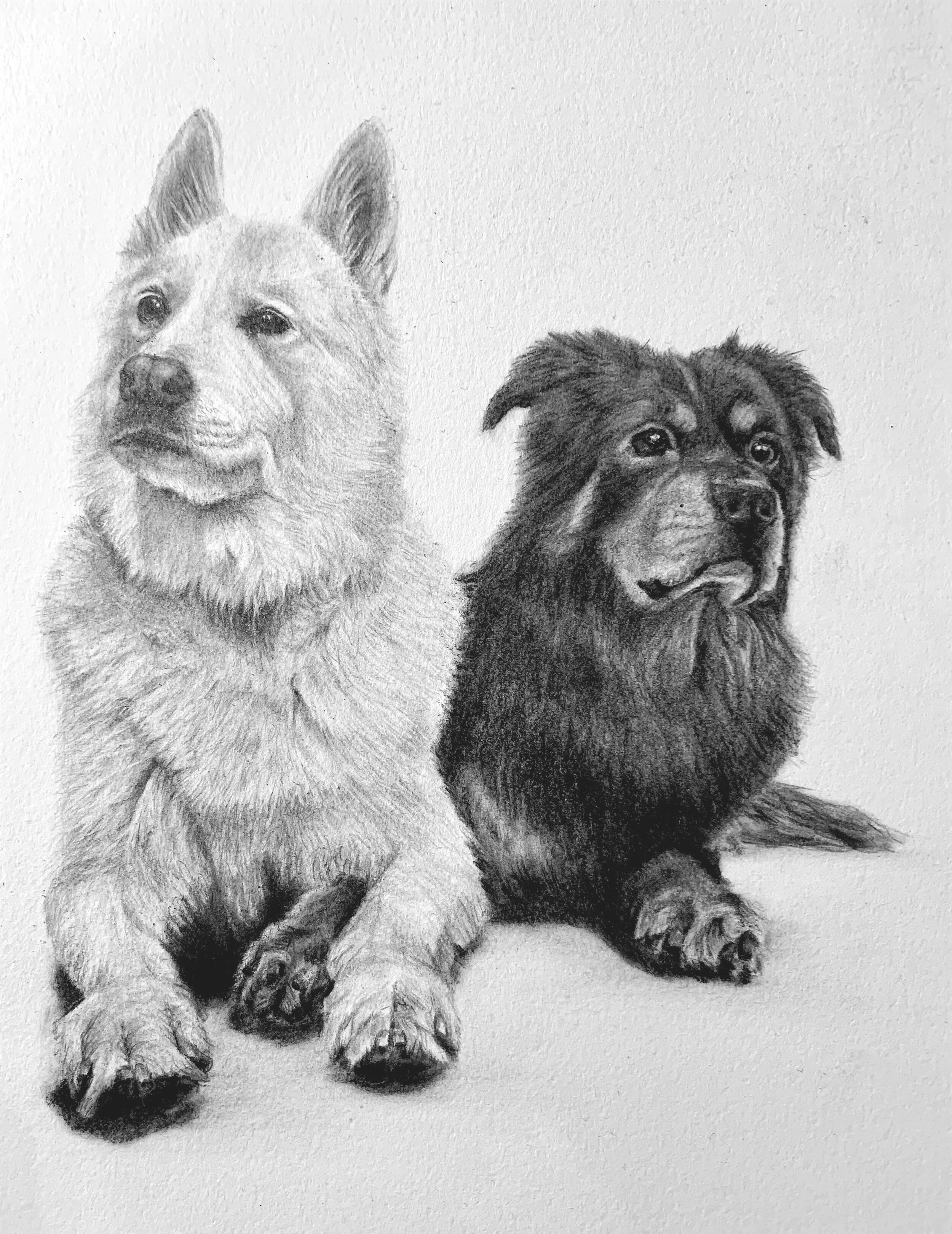pups+gift.jpg