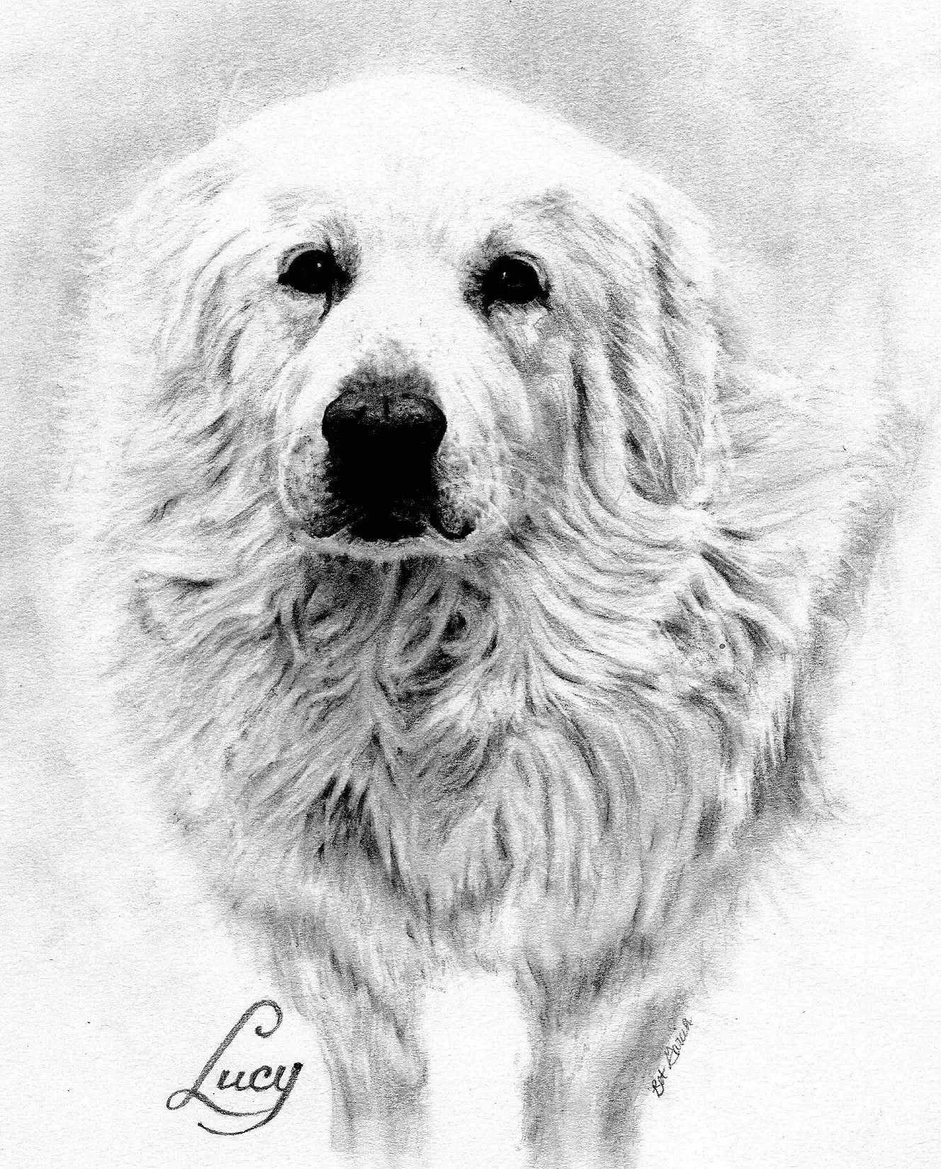 Pencil Portrait Dog Sample 1