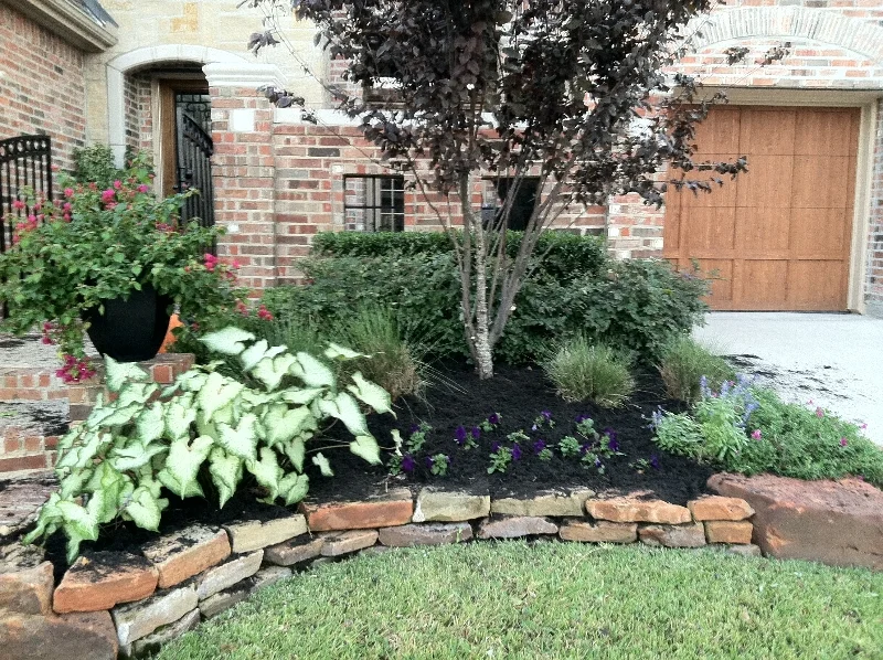 2011-10-10-18-43-00.jpg