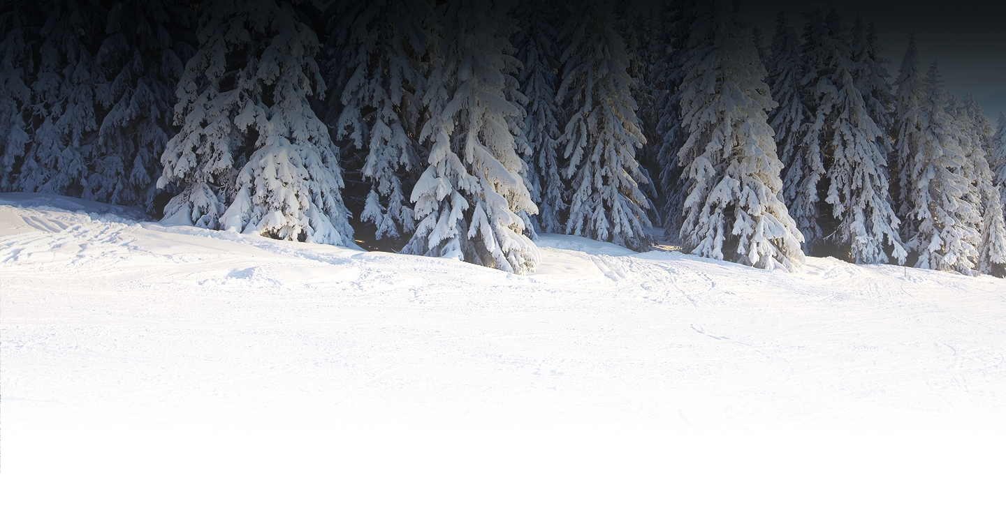 1-About-MainImage2-BG.jpg