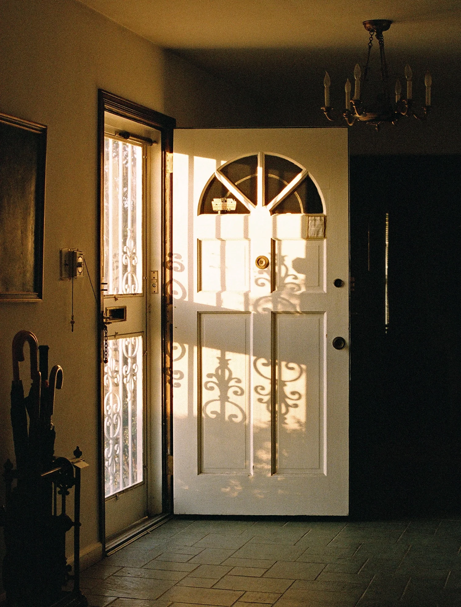 69480026 copy.jpg