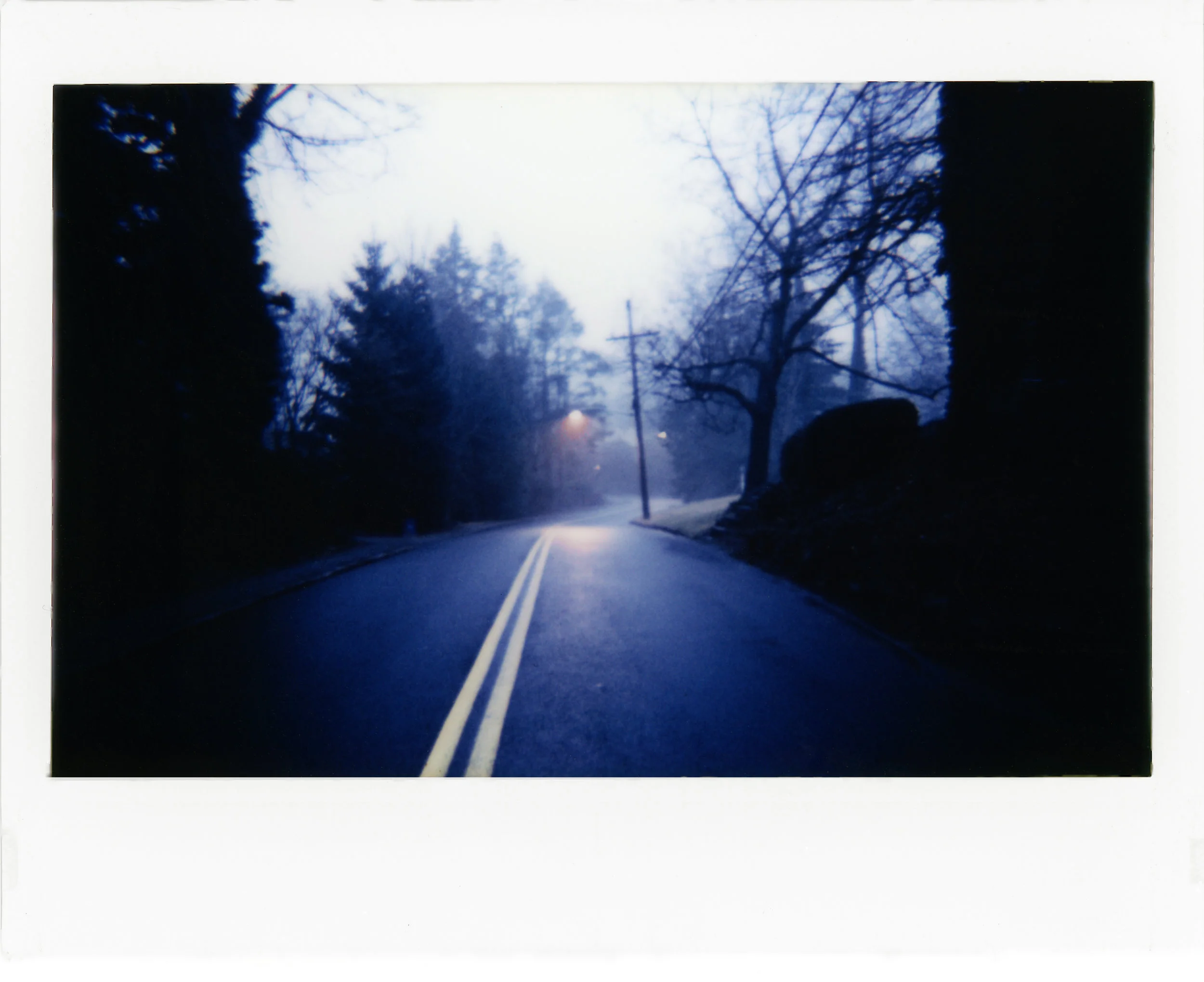 PHILLlomo10.jpg
