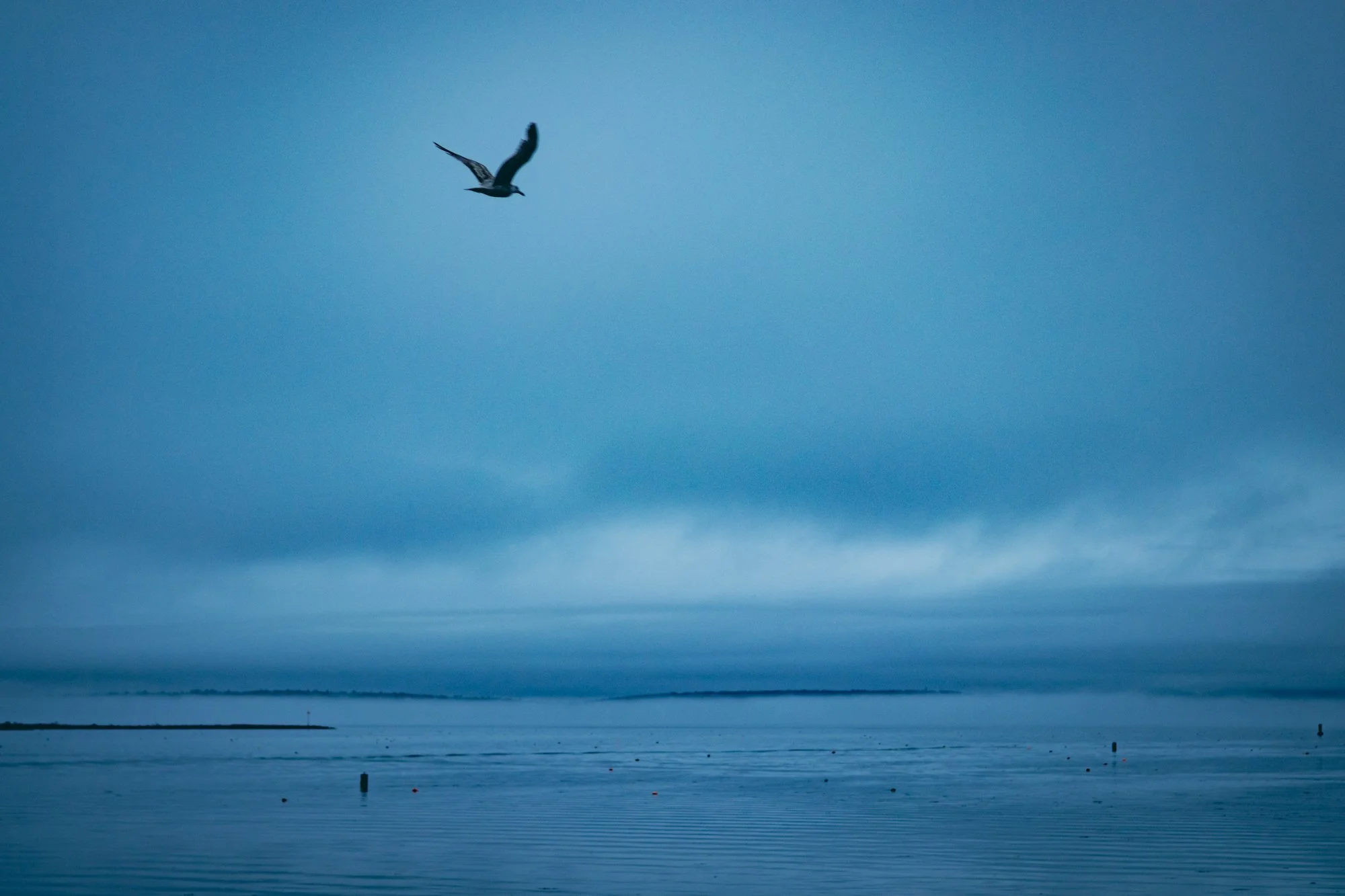 Annie Joey Wedding-6241.jpg