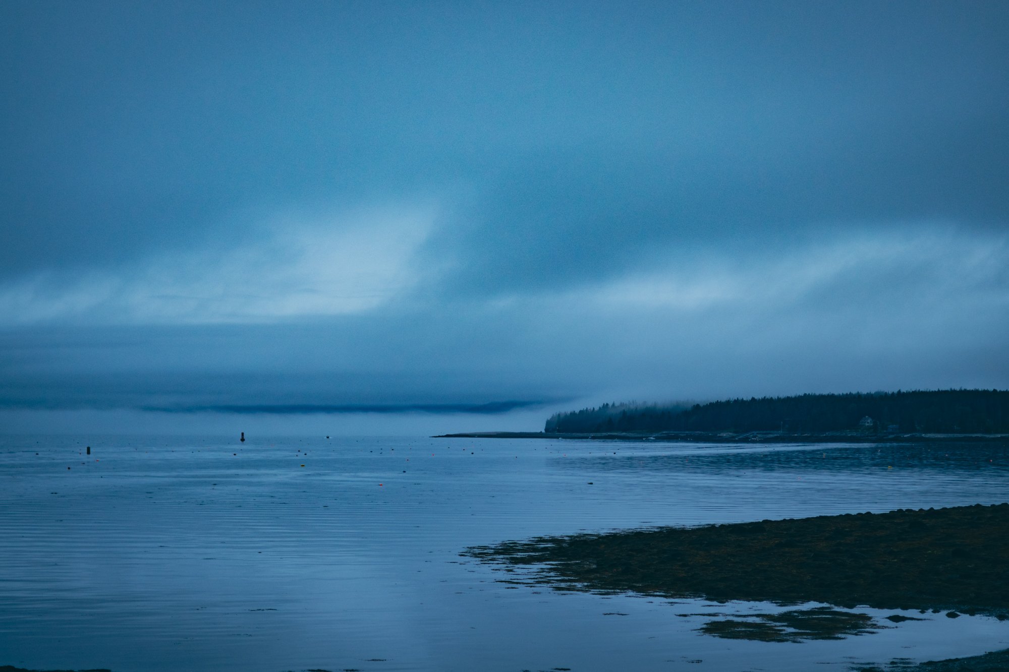 Annie Joey Wedding-6243.jpg