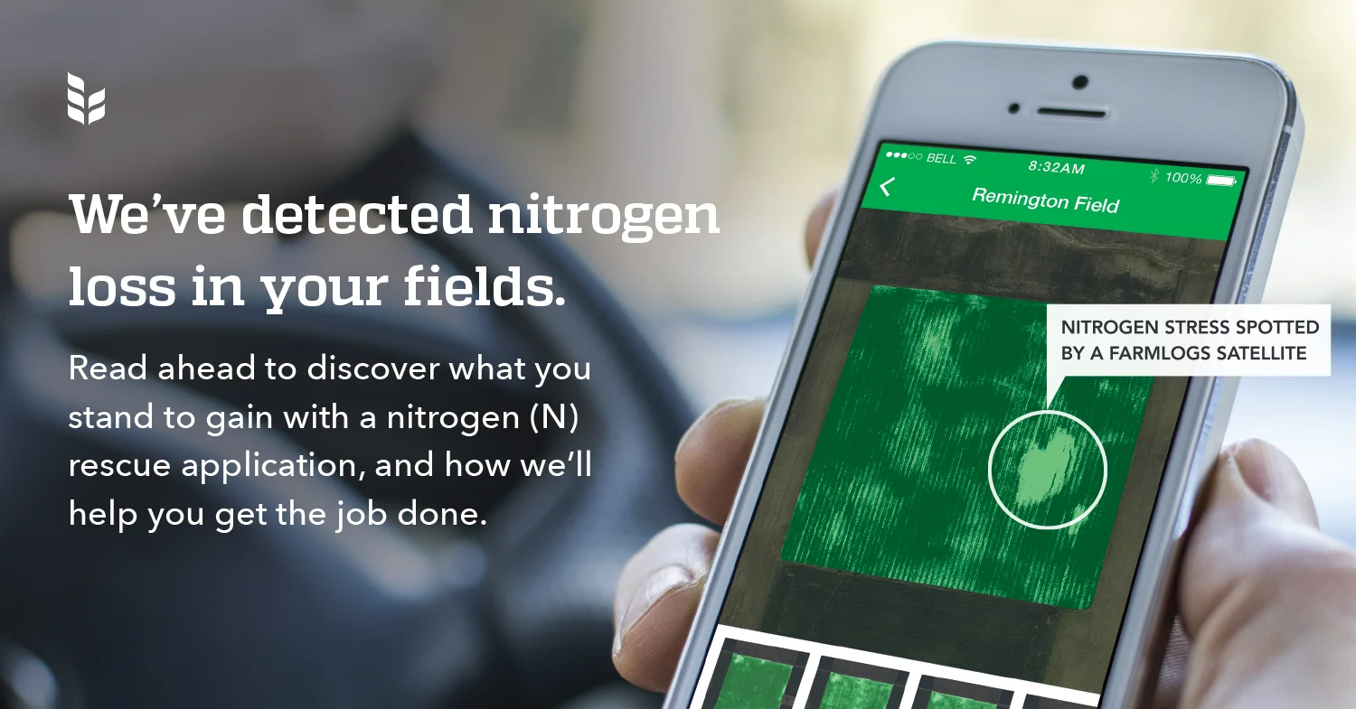 nitrogen.jpg