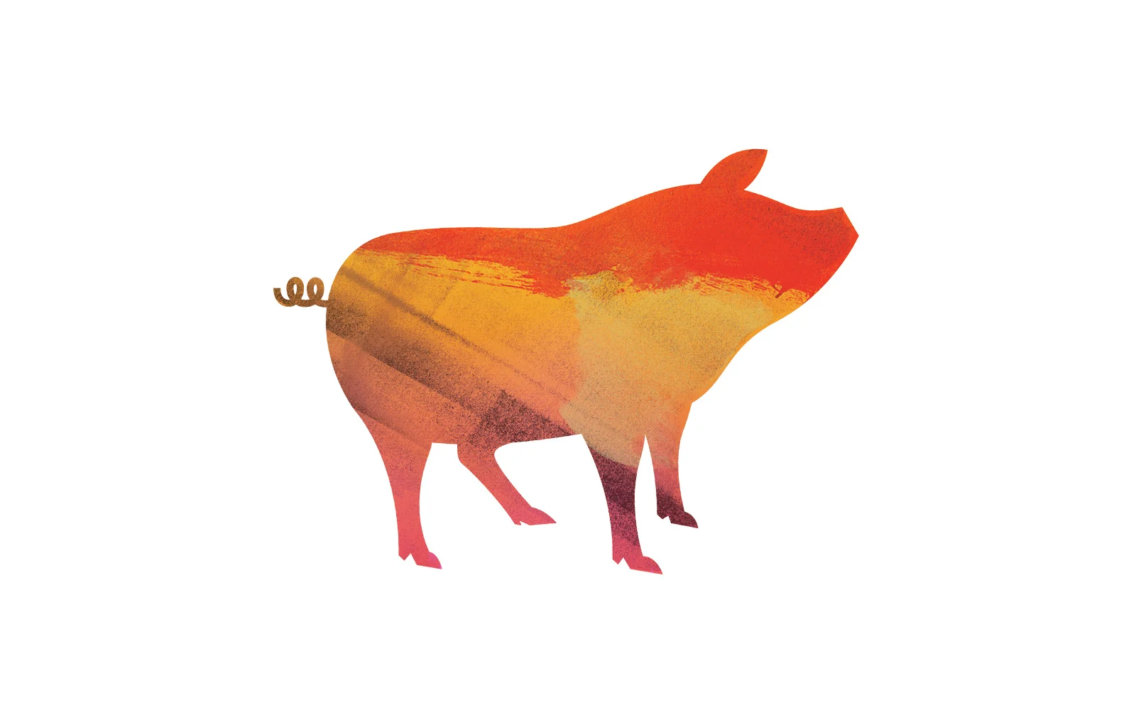 pig-2.jpg