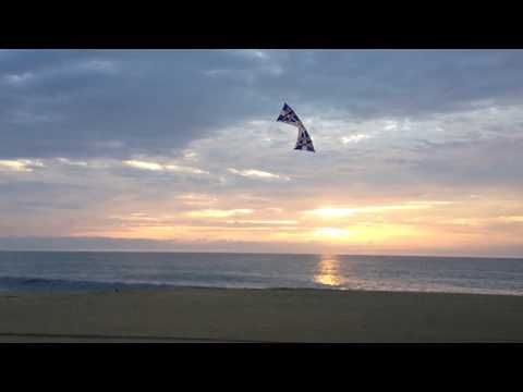 kite