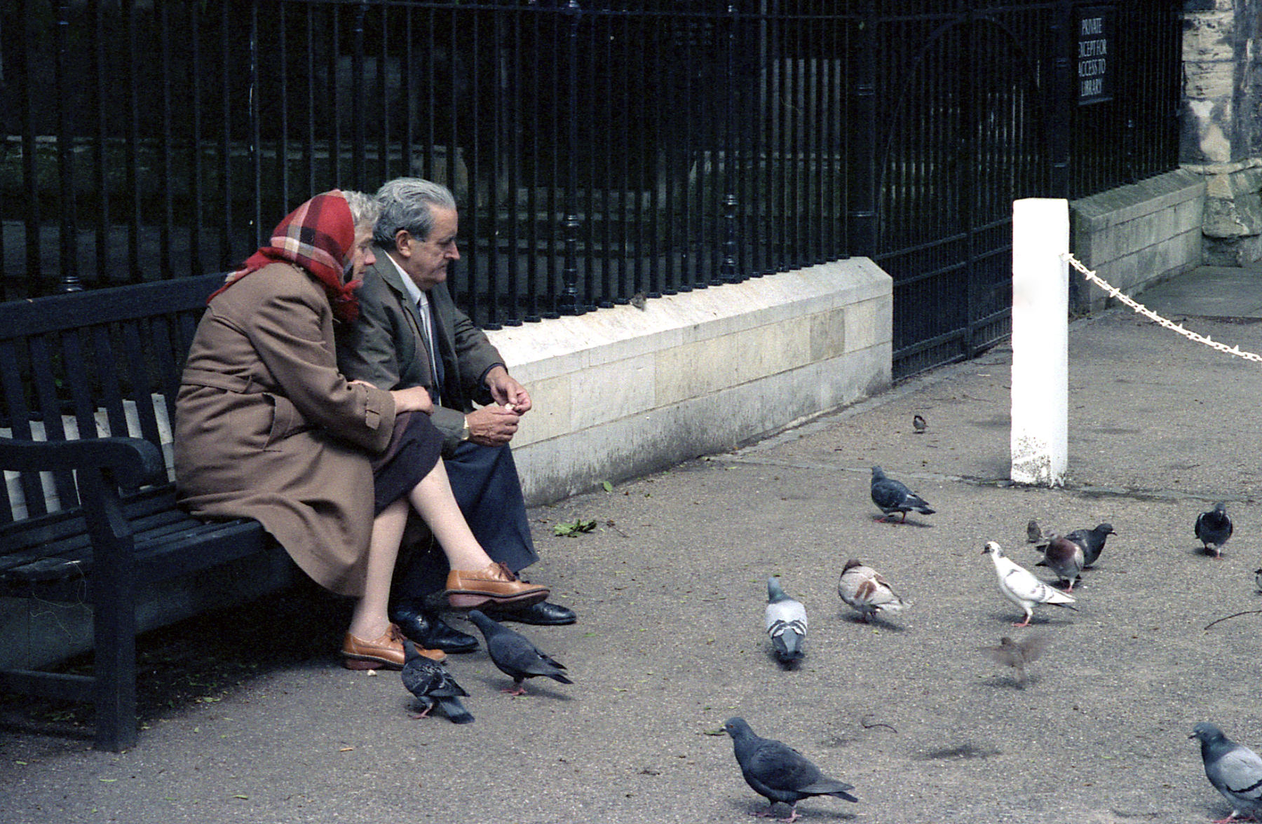 English couple feeding birds