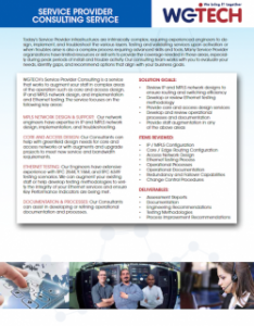 WGTECH-Service-Provider-Consulting-e1427744169225-234x300.png