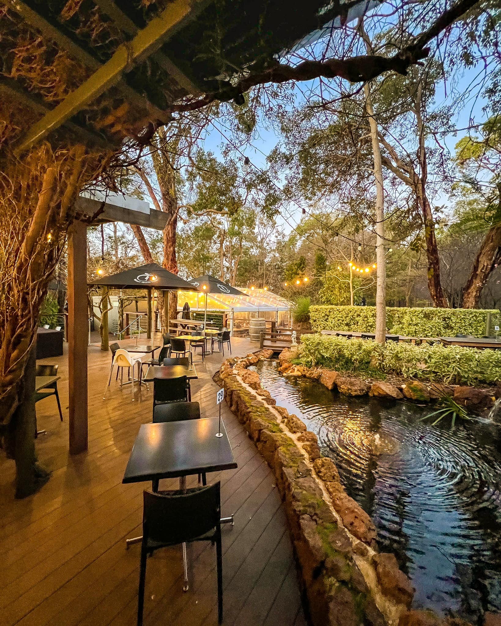 What's On — Naked Apple Cider