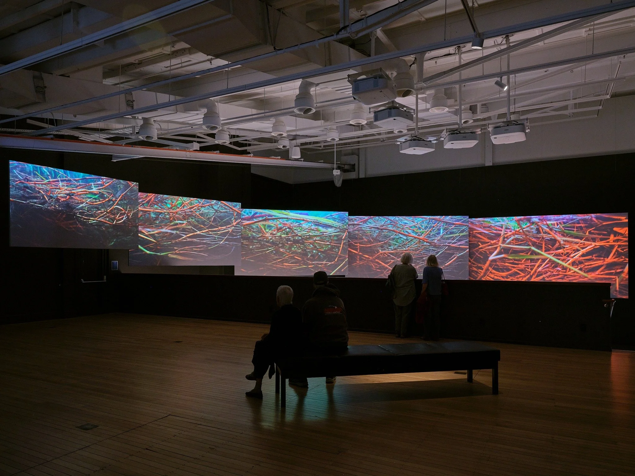Follow the lifeforce of Te Whanganui through sound, image and story in a major new @govettbrewster  exhibition Whiria ko te iwi tuna by artist collective Toiaa Taiao. Now showing until 19 July.

Credit: Toiaa Taiao, Whiria ko te iwi tuna, 2026, audio