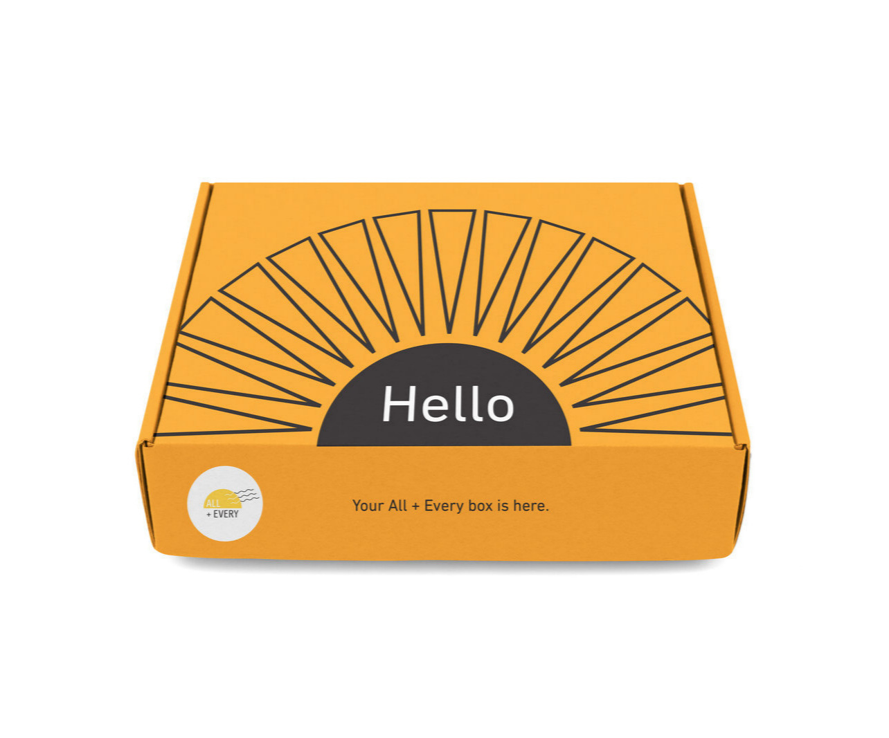 BoxMockOrange%25252Bcopy%25252Bcopy.jpg