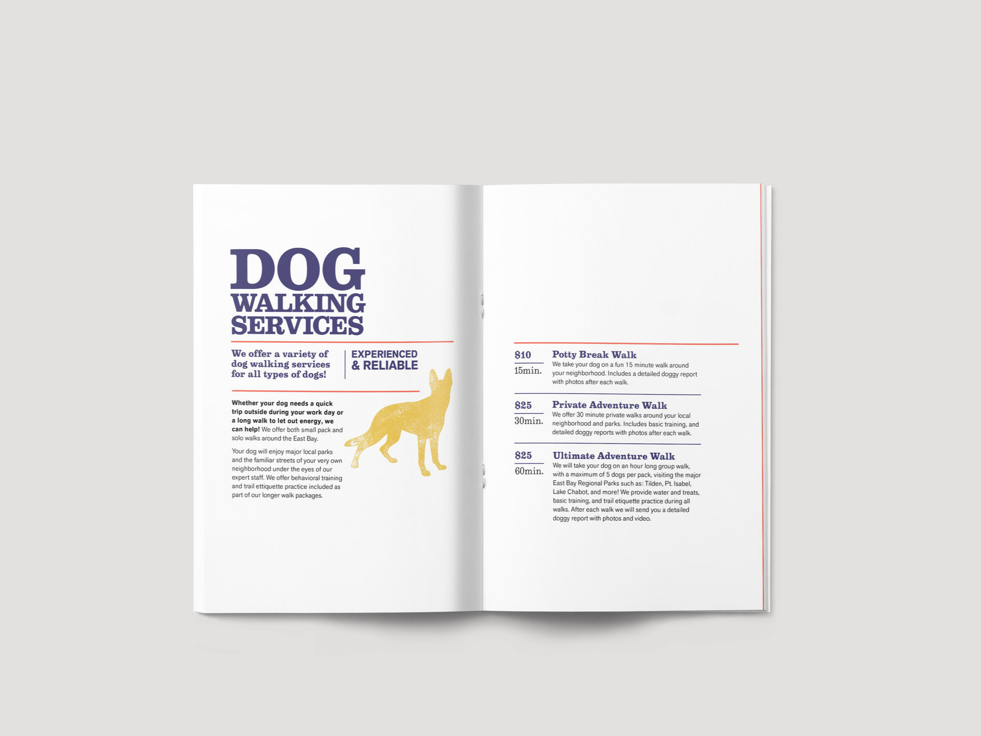 Brochure_spread2_gray.jpg