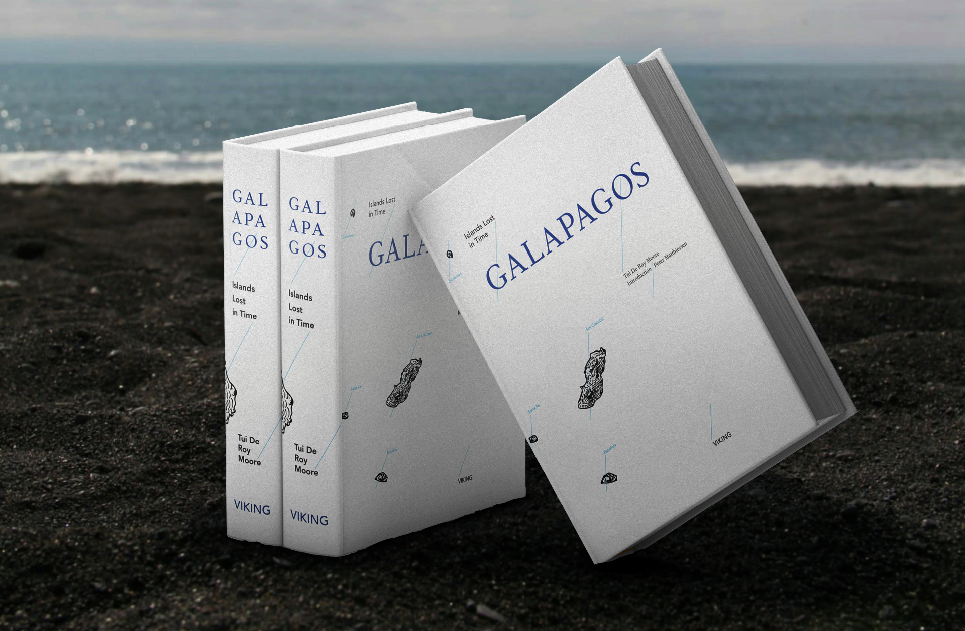 Artboard 1 copy 5.png