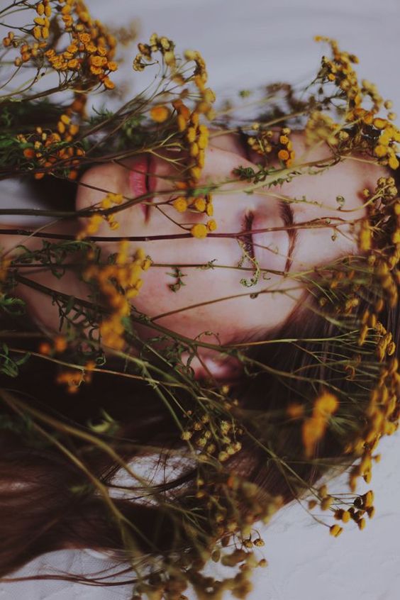 In Bloom