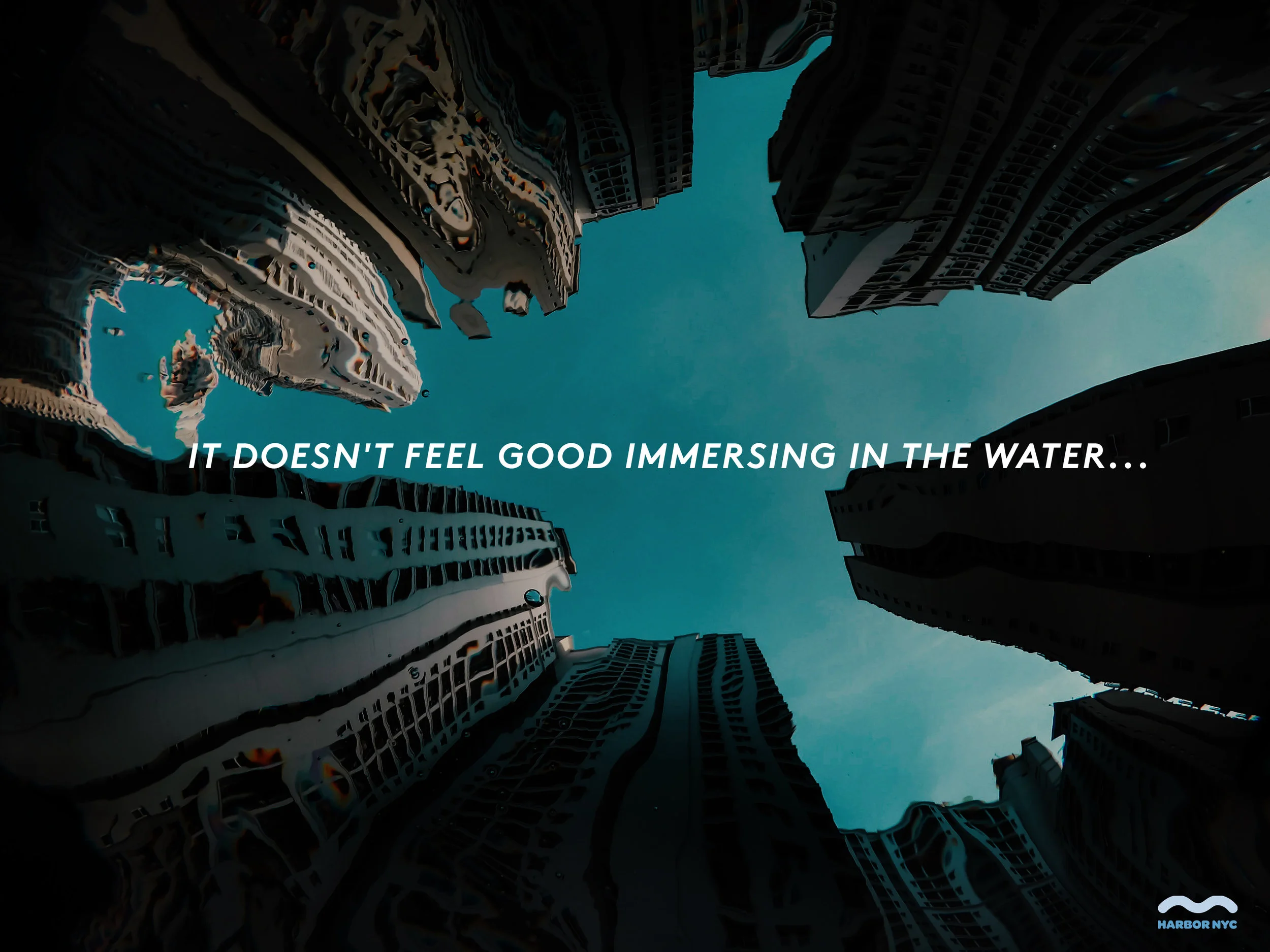immerse.jpg