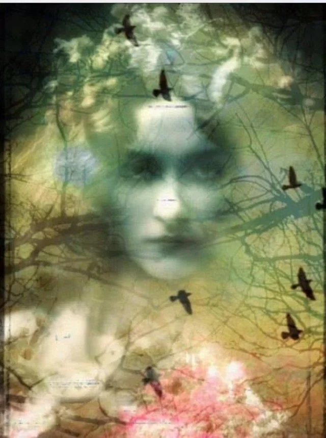 Sacred Circle - February 