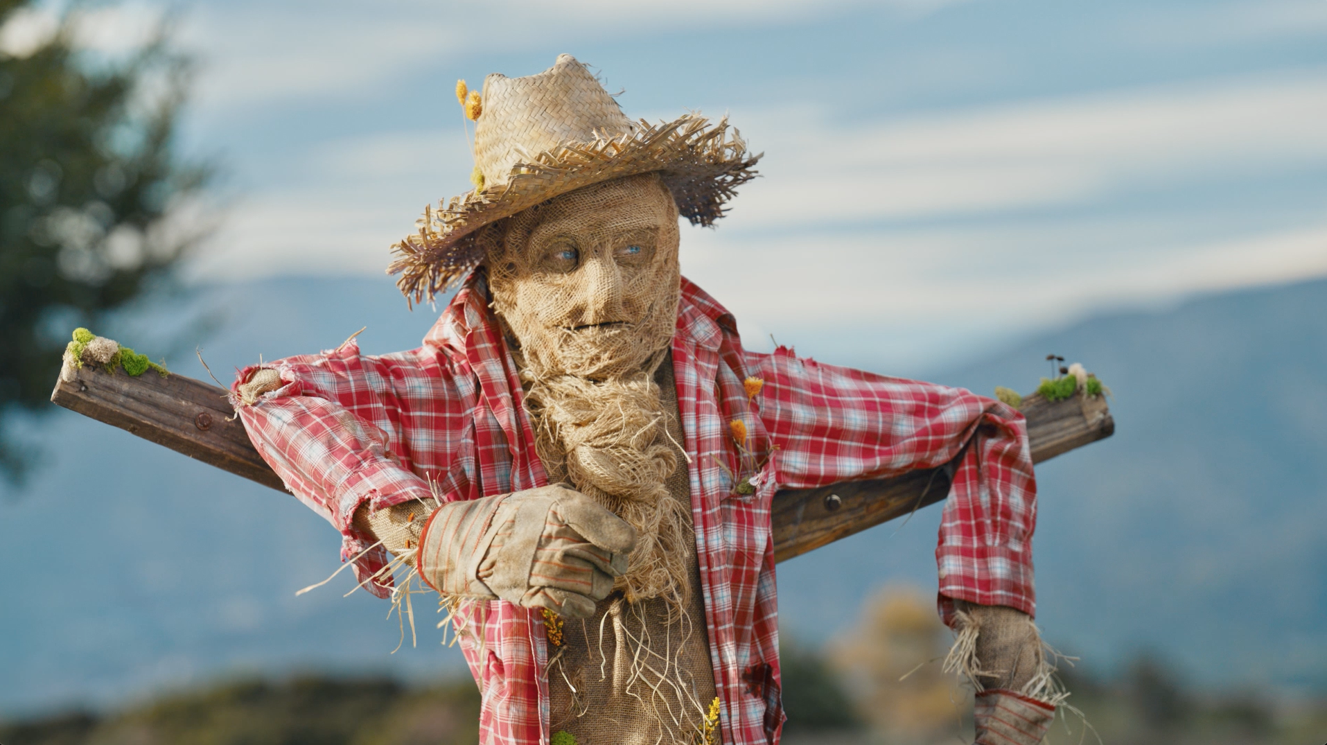 State Farm - No Brainer