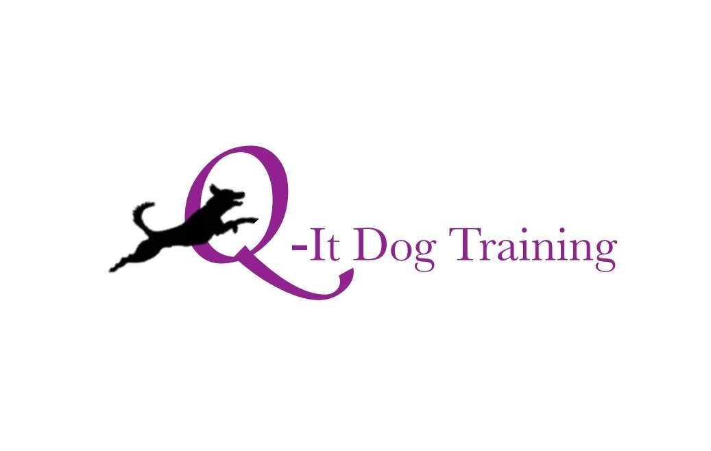 Q-it Dog Training