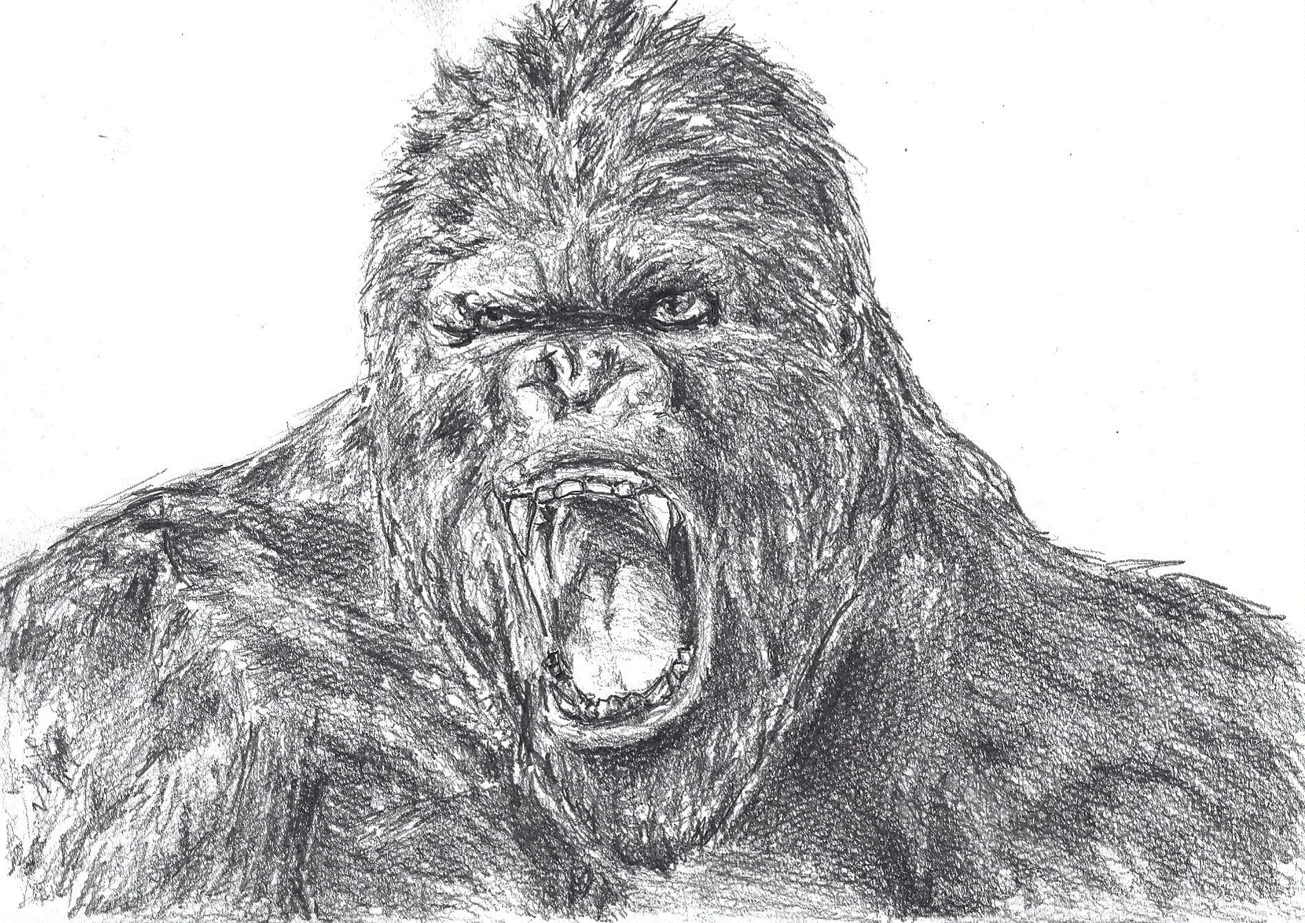 King Kong Drawing 3.jpg