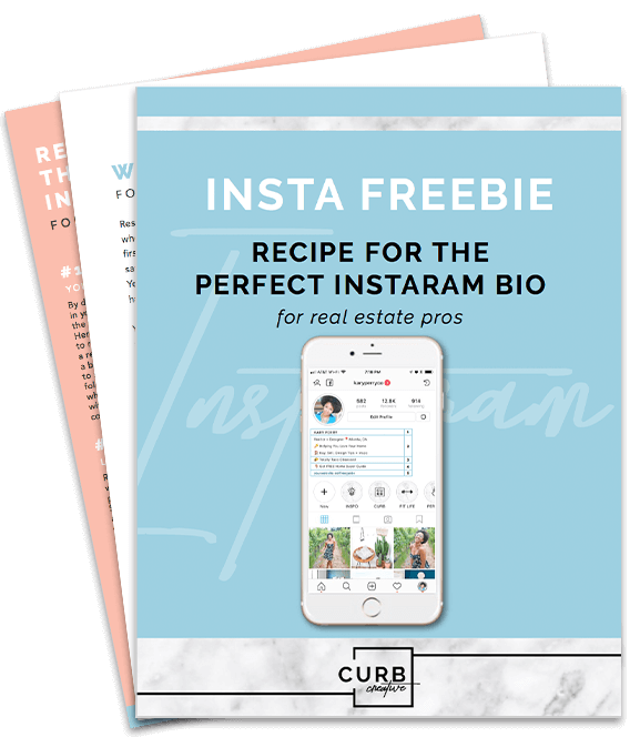Instagram Bio Receipe Download Graphic.png