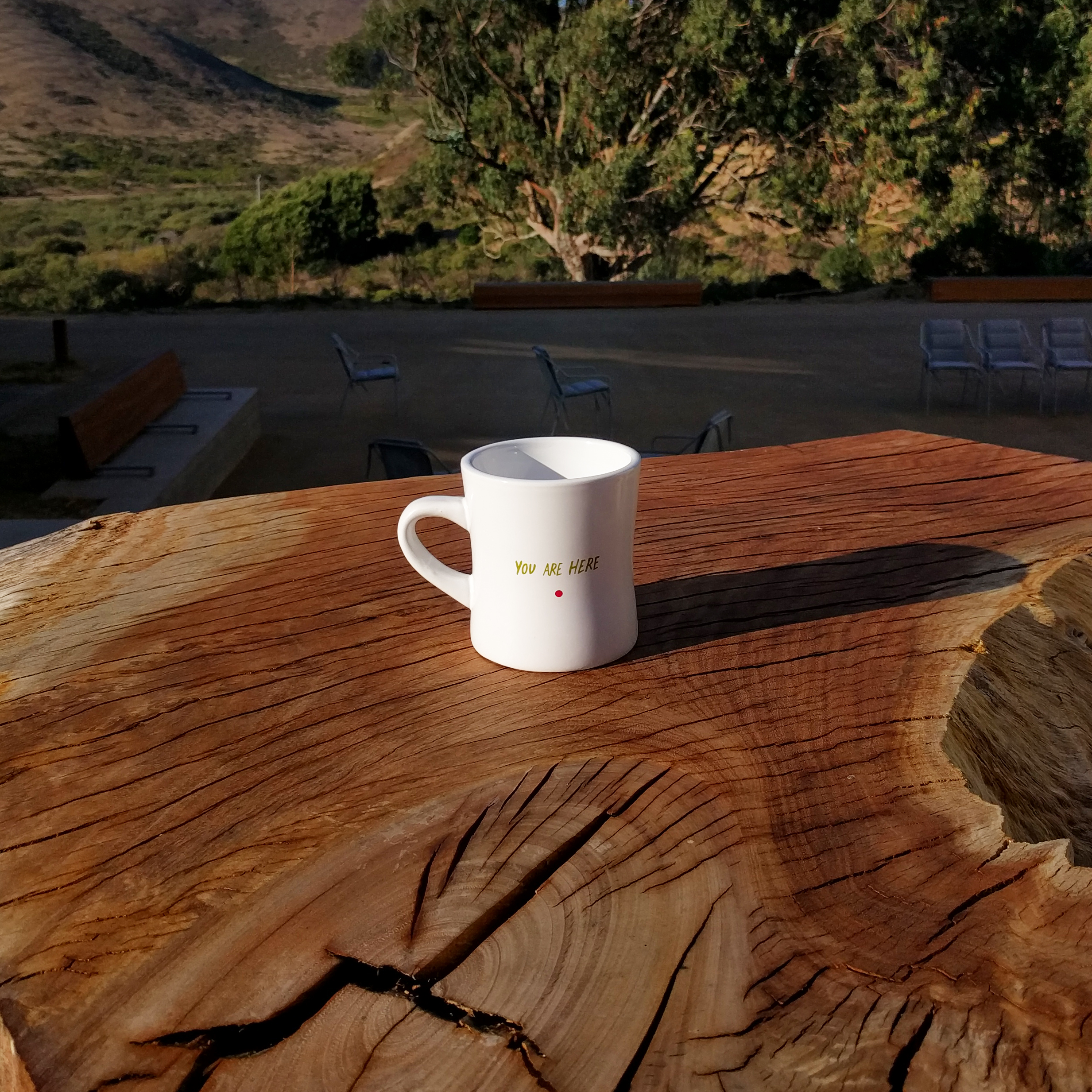 commons mug 01.jpg