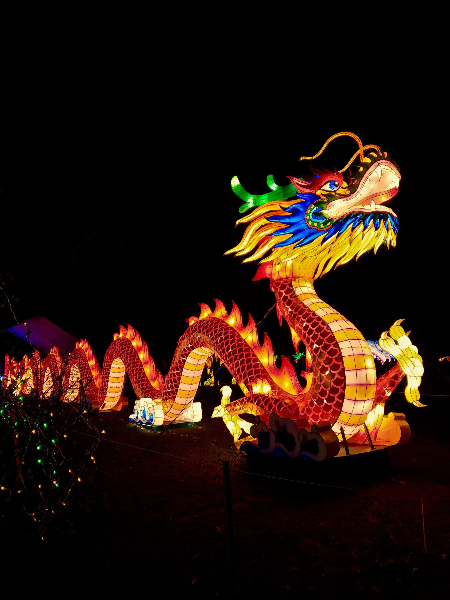Year of the Dragon